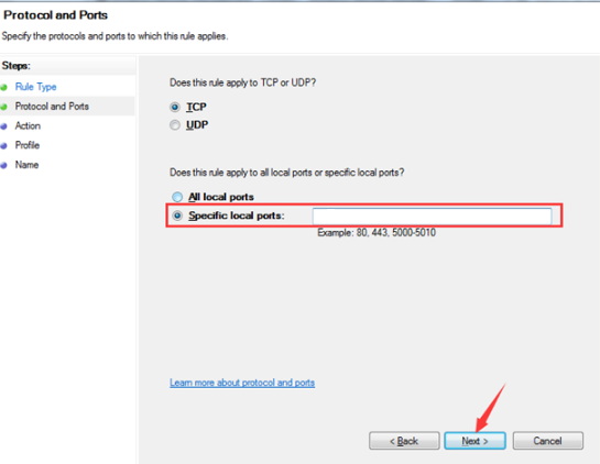 In the «Protocols and Ports» column, select «Specific local ports», enter the port number and the range that you want to open. Put a hyphen between the numbers. Press the «Next» button