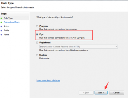 Choose the «Rule Type» - «Port». Press the «Next» button