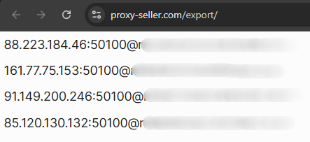 Exported proxy address list shown in IP PORT format after quick export