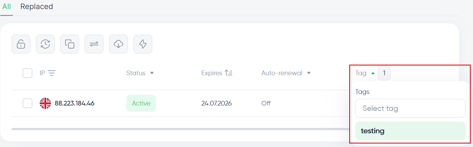 Shareable export link in dialog window with expiration duration selector for proxy address list