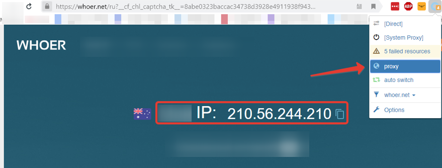 Select proxy access in the plugin, go to the service website, check the IP address