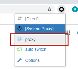 Open a new tab of your browser. Press SwitchyOmega icon and choose the configured profile «proxy»