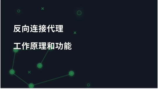Backconnect 代理：工作原理和应用领域