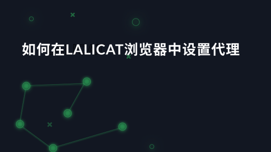 如何在Lalicat浏览器中设置代理