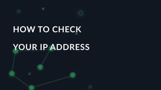 How to check your IP address