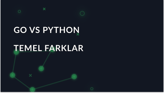 Go vs Python: Doğru Seçim Nasıl Yapılır?