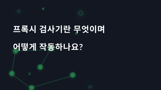 프록시 검사기란 무엇이며 어떻게 작동하나요?