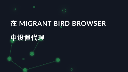 在 Migrant Bird Browser 中设置代理