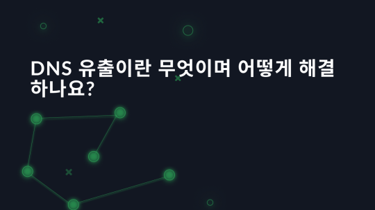 DNS 유출이란 무엇이며 어떻게 해결하나요?