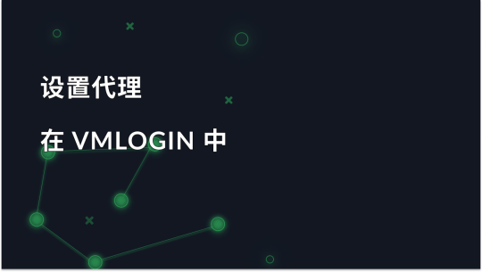 在 VMLogin 中逐步设置代理服务器