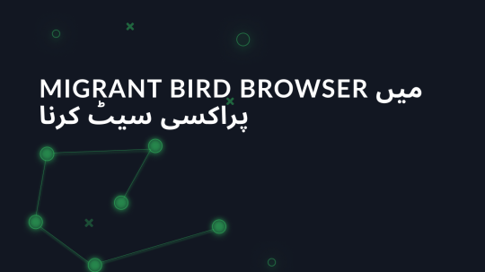 Migrant Bird Browser میں پراکسی سیٹ کرنا