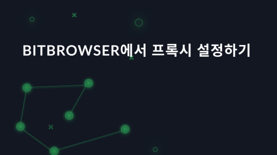 BitBrowser에서 프록시 설정하기