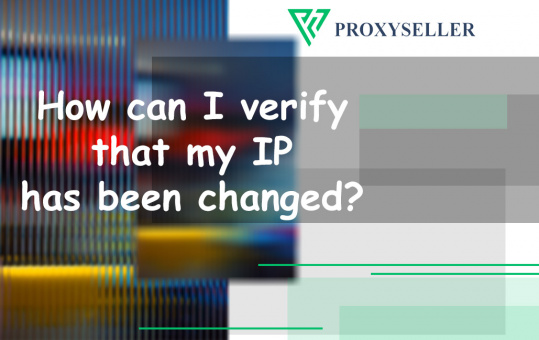 How can I verify that my IP has been changed?