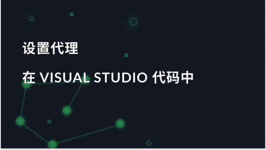 在 Visual Studio 代码中配置代理设置