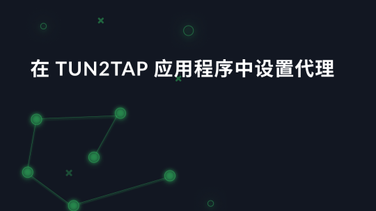 在 Tun2Tap 应用程序中设置代理