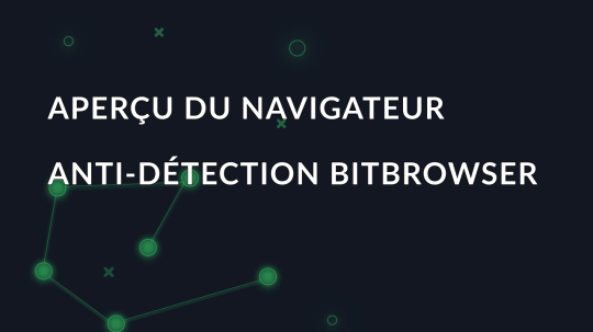 Aperçu du navigateur anti-détection BitBrowser