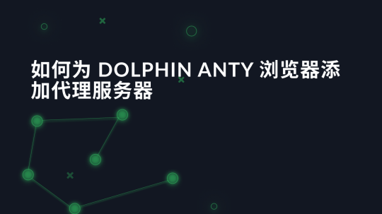 如何为 Dolphin Anty 浏览器添加代理服务器