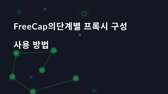 FreeCap의 단계별 프록시 구성, 사용 방법