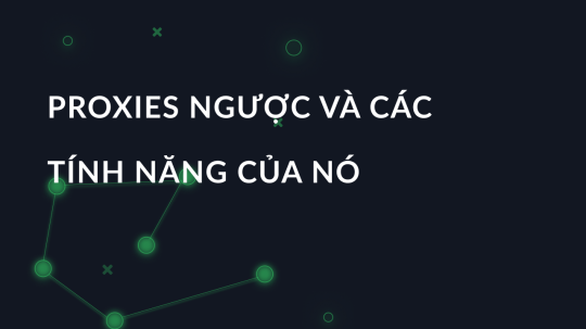 Proxy ngược là gì và chúng khác với proxy chuyển tiếp như thế nào