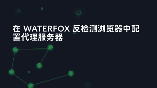 在 Waterfox 反检测浏览器中配置代理服务器