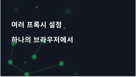 하나의 브라우저에서 여러 프록시를 설정하는 방법
