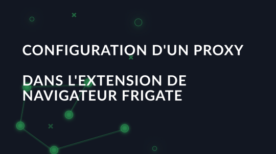 Configuration d'un proxy dans l'extension de navigateur Frigate