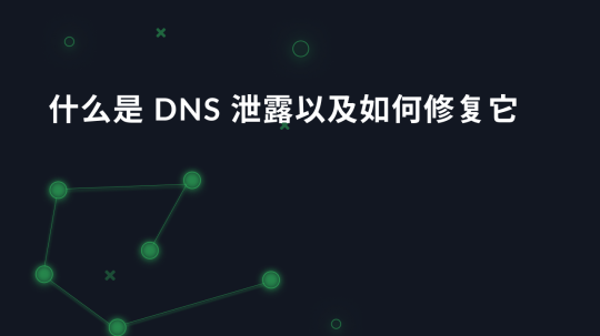 什么是 DNS 泄露以及如何修复它