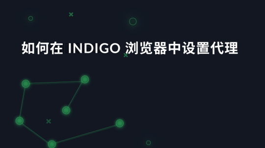 如何在 Indigo 浏览器中设置代理