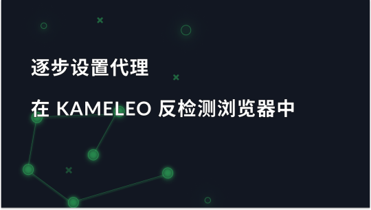 在 Kameleo 反检测浏览器中逐步设置代理服务器