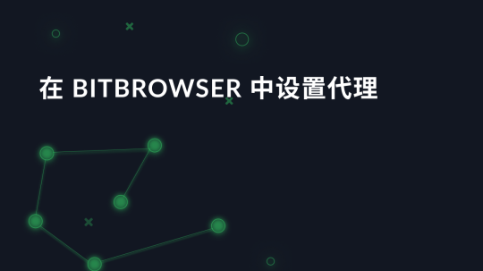 在 BitBrowser 中设置代理