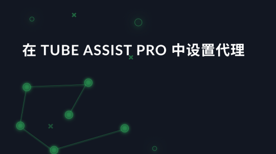 在 Tube Assist Pro 中设置代理