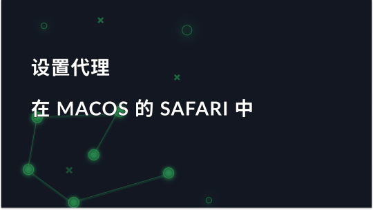 在 macOS 的 Safari 中设置代理
