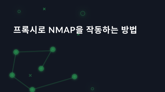 프록시로 Nmap을 작동하는 방법