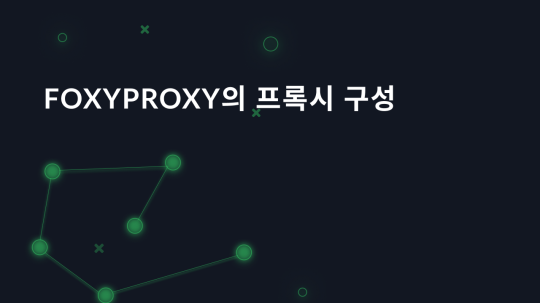 FoxyProxy의 프록시 구성