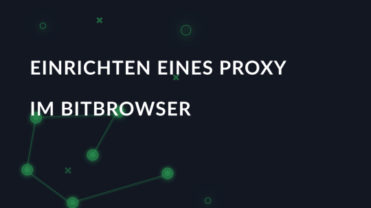Einrichten eines Proxy im Bitbrowser