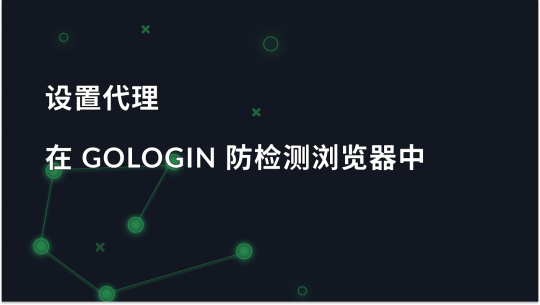 在 GoLogin 反检测浏览器中设置代理服务器