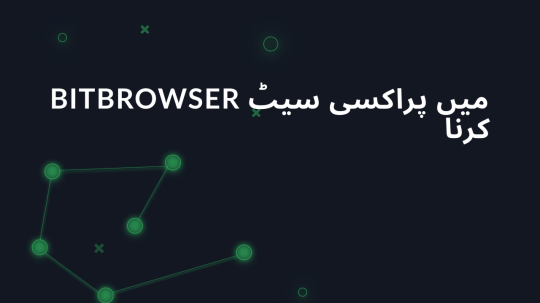 BitBrowser میں پراکسی سیٹ کرنا