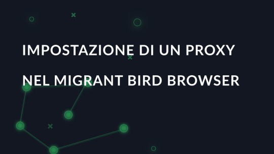 Impostazione di un proxy nel Migrant Bird Browser
