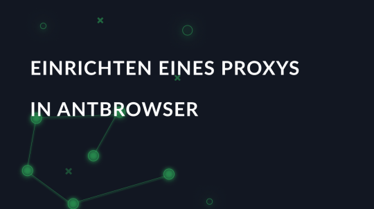 Einrichten eines Proxys in AntBrowser