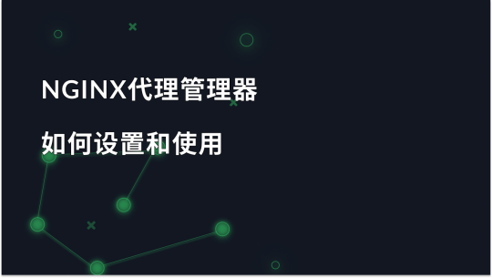 如何有效设置和使用 Nginx 代理管理器