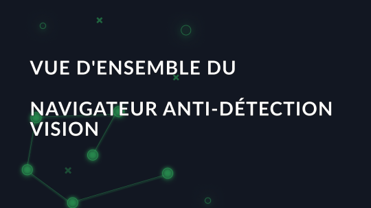 Vue d'ensemble du navigateur anti-détection Vision