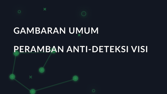 Gambaran umum peramban anti-deteksi Vision