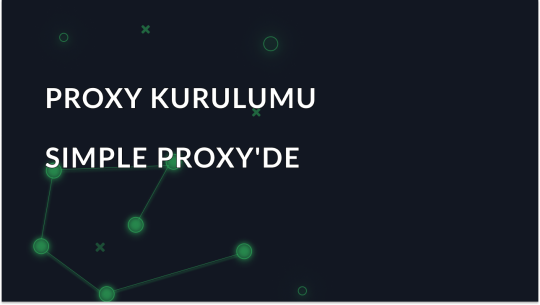 Simple Proxy'de proxy kurma kılavuzu
