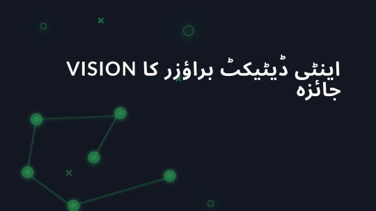 Vision اینٹی ڈیٹیکٹ براؤزر کا جائزہ