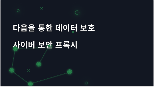 사이버 보안을 위한 프록시 서버로 데이터 보호