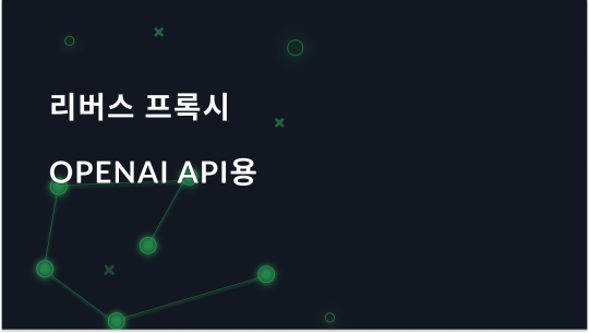 OpenAI API용 리버스 프록시: 설명