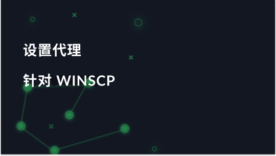 如何在 WinSCP 中设置代理