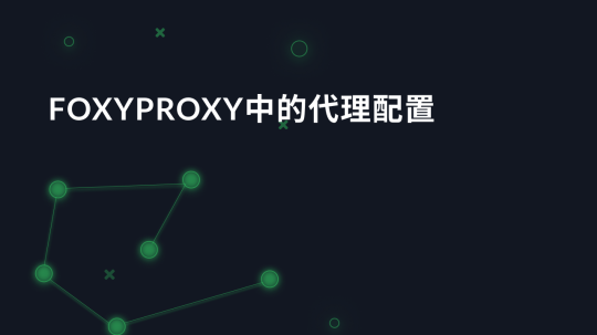 Foxyproxy中的代理配置