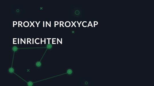 Proxy in ProxyCap einrichten