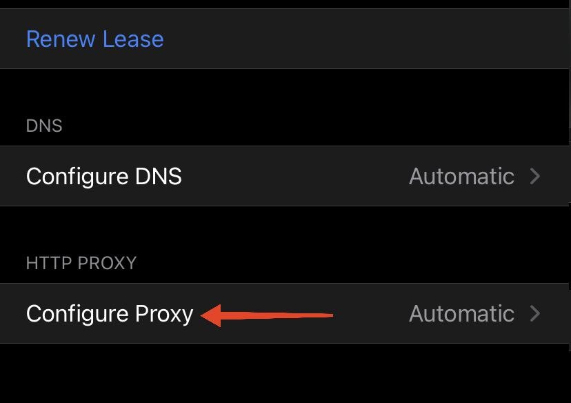 find-http-proxy-8.jpeg